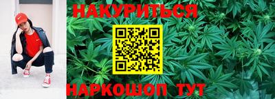 apvp Дубна
